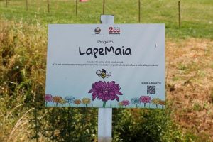 oasi-impollinatori-Capannori_Toscana-ambiente