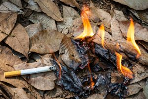 sigarette-incendi-toscana-ambiente