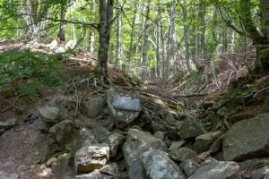 sorgente-Arno-ettari_Toscana-ambiente