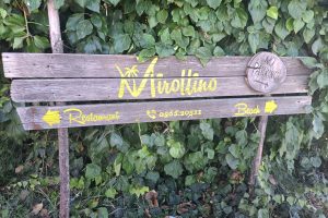 Mirollino-pineta-Toscana-ambiente