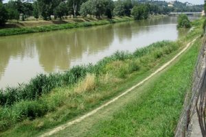 alveo-fiume-sfalci_Toscana-ambiente