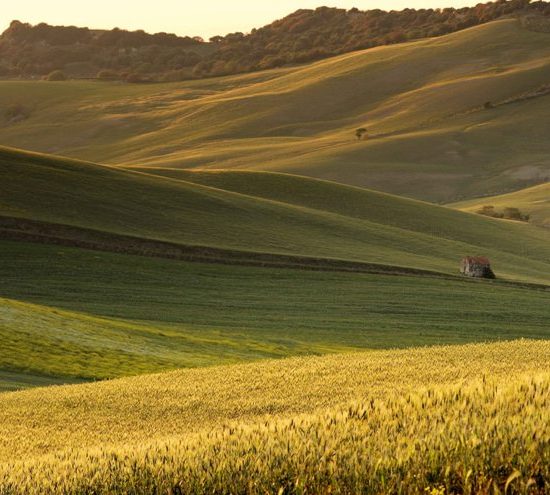 biologico-distretto-Comuni_Toscana-ambiente