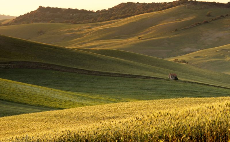 biologico-distretto-Comuni_Toscana-ambiente