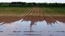 coldiretti-agricoltura-toscana-danni-ambiente