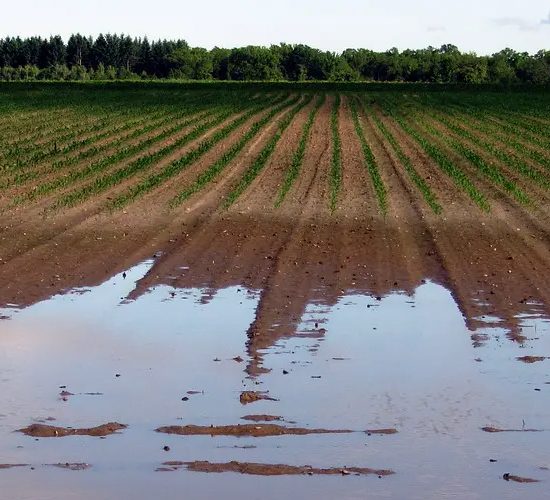 coldiretti-agricoltura-toscana-danni-ambiente