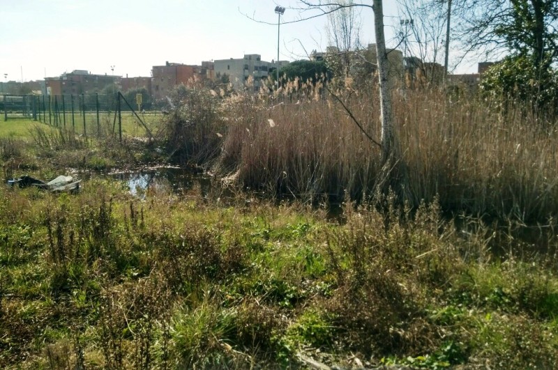 corridoio-ecologico-Pisa_Toscana-ambiente