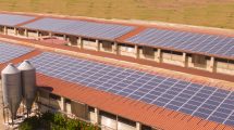 contributo-fotovoltaico-agricoltura-Toscana-ambiente