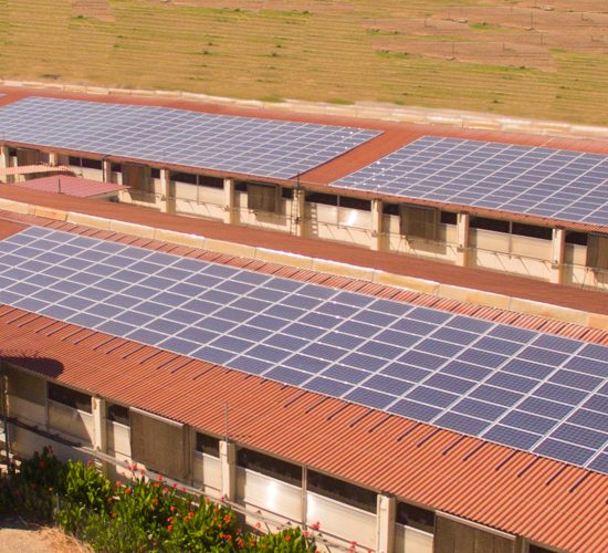 contributo-fotovoltaico-agricoltura-Toscana-ambiente