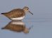 birdwatching-Massaciuccoli_Toscana-ambiente