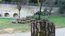 Foto del Comitato Ambiente Siena.