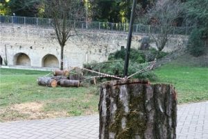 Foto del Comitato Ambiente Siena.