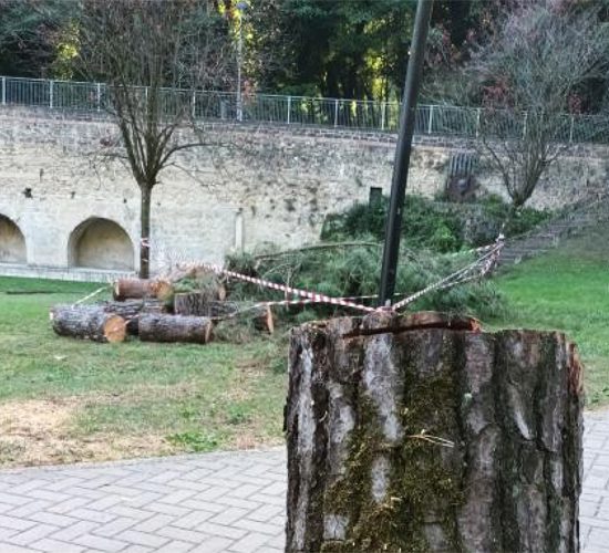 Foto del Comitato Ambiente Siena.