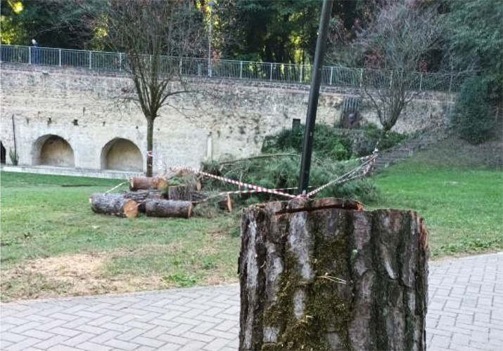 Foto del Comitato Ambiente Siena.