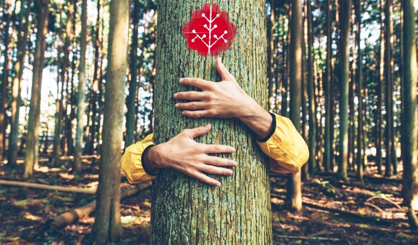 Bagni-Foresta-Forest-bathing-Monte-Amiata-Toscana-ambiente