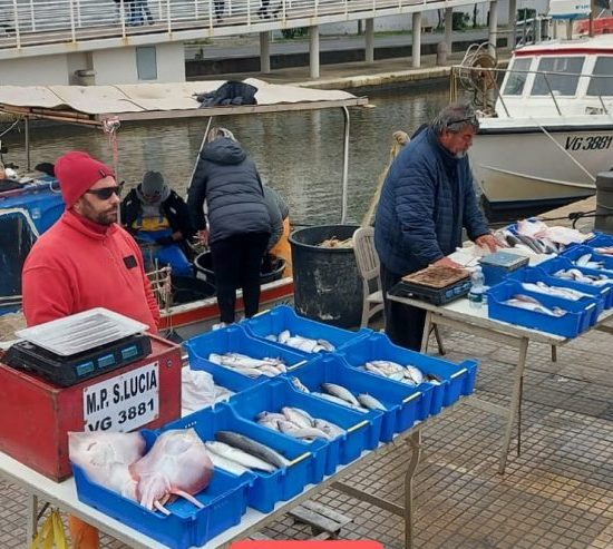 Pescatori-Viareggio-polistirolo_Toscana-ambiente