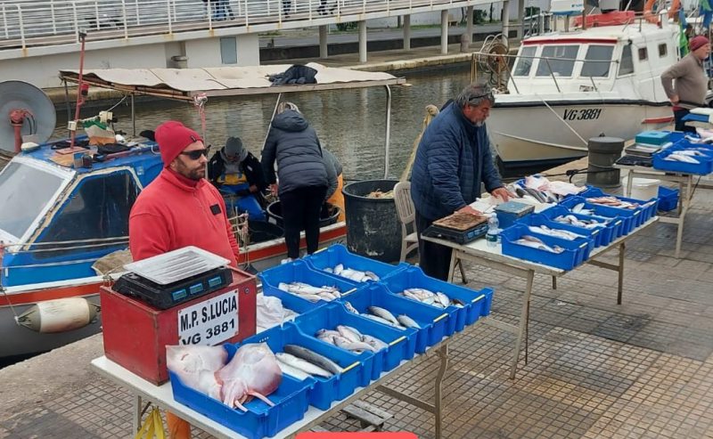 Pescatori-Viareggio-polistirolo_Toscana-ambiente