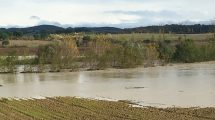 agricoltura-intensiva-Toscana-ambiente-alluvioni
