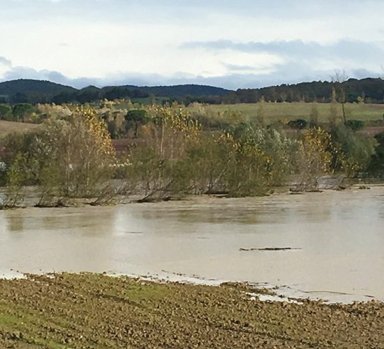 agricoltura-intensiva-Toscana-ambiente-alluvioni