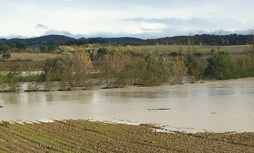 agricoltura-intensiva-Toscana-ambiente-alluvioni