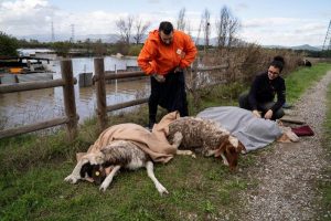 animali-zone-alluvionate_Toscana-ambiente