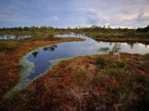 ecosistemi-natura_Toscana-ambiente