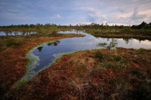 ecosistemi-natura_Toscana-ambiente