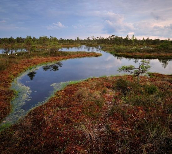 ecosistemi-natura_Toscana-ambiente