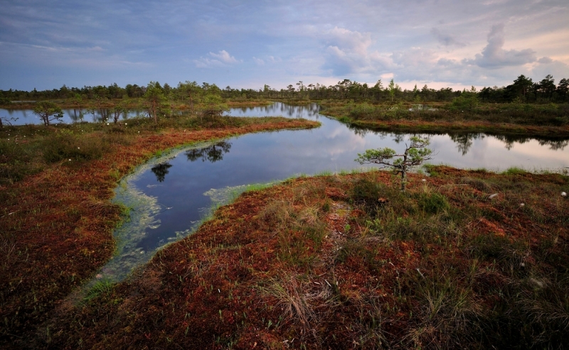 ecosistemi-natura_Toscana-ambiente