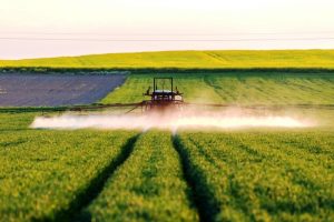 pesticidi-ue-glifosato_Toscana-ambiente