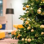 abete-Natale-vero_Toscana-ambiente