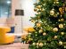 abete-Natale-vero_Toscana-ambiente