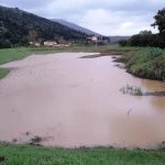casse-espansione-Calenzano_Toscana-ambiente