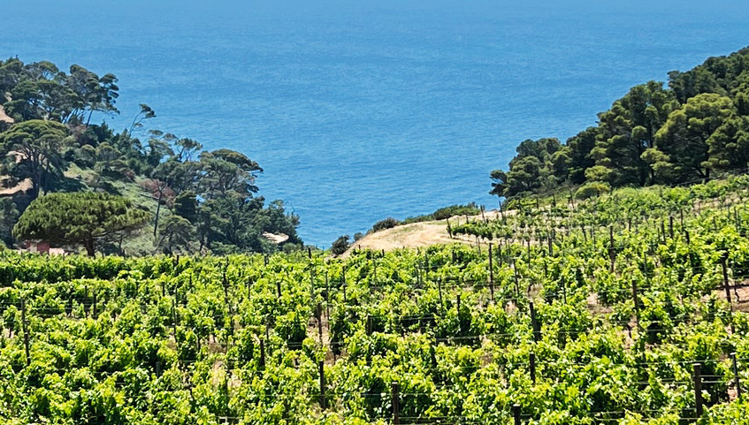 distretti-rurali-biologici-bio-Toscana-ambiente