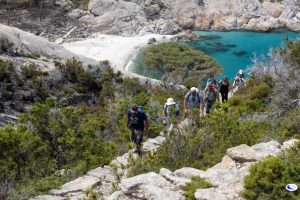 Montecristo-isola_Toscana-ambiente