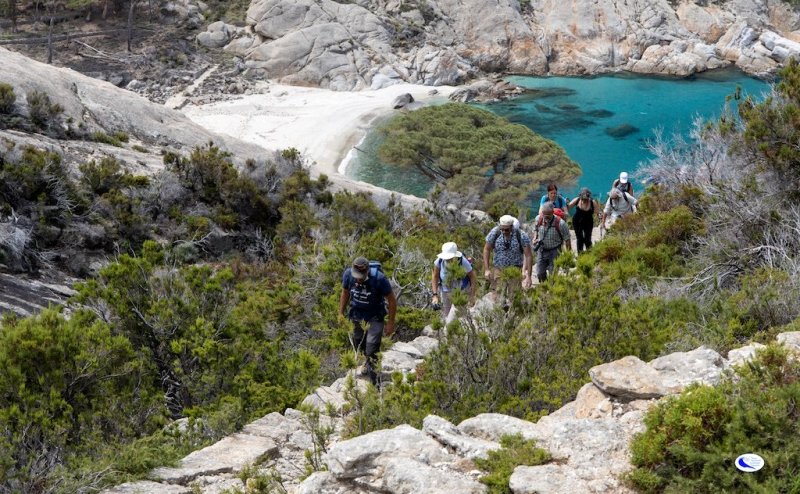 Montecristo-isola_Toscana-ambiente