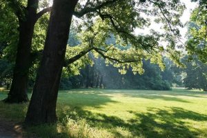 parco-aria-piante_Toscana-ambiente