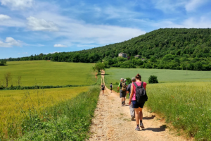 Francigena-turismo-lento_Toscana-ambiente