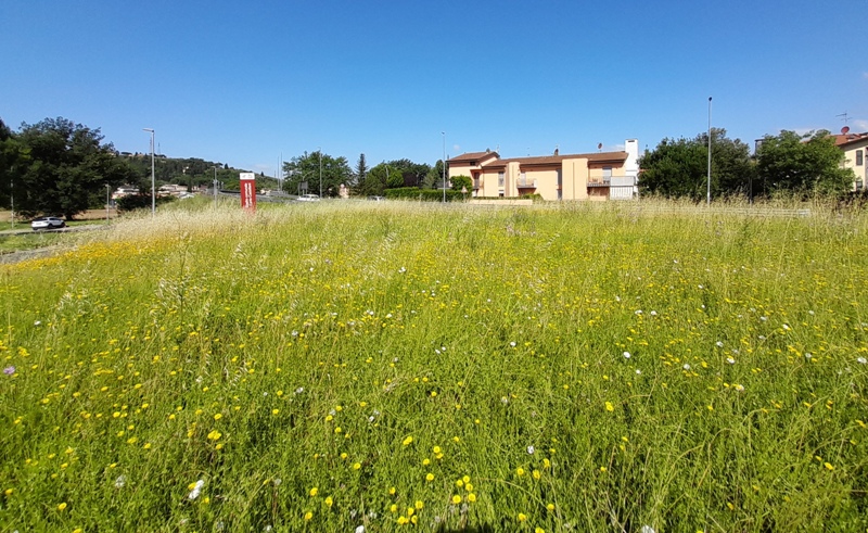 Montelupo-verde-pubblico_Toscana-ambiente