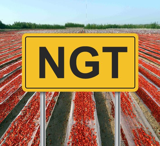 NGT-OGM-organismi-geneticamente-modificati