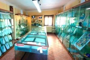 museo-scienze-naturali_Toscana-ambiente