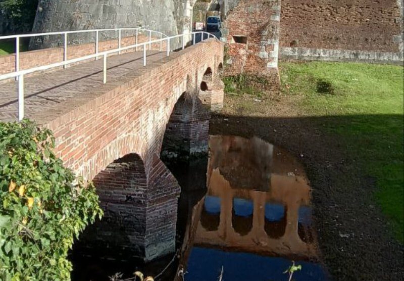 zone-umide-urbane_Toscana-ambiente