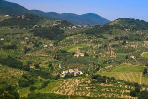 bio-biologico-Biodistretto-Montalbano-Toscana-ambiente