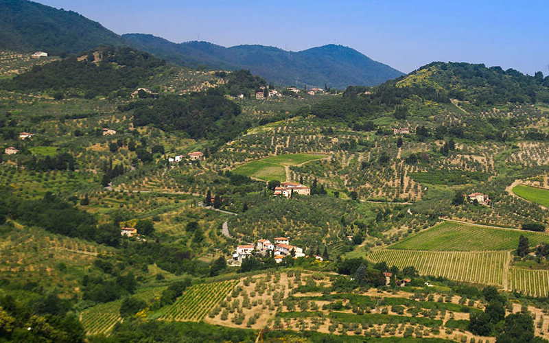 bio-biologico-Biodistretto-Montalbano-Toscana-ambiente