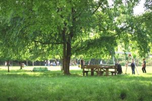 giardini-raccolta-differenziata_Toscana-ambiente