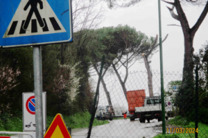 pini-strada-Massetana_Toscana-ambiente