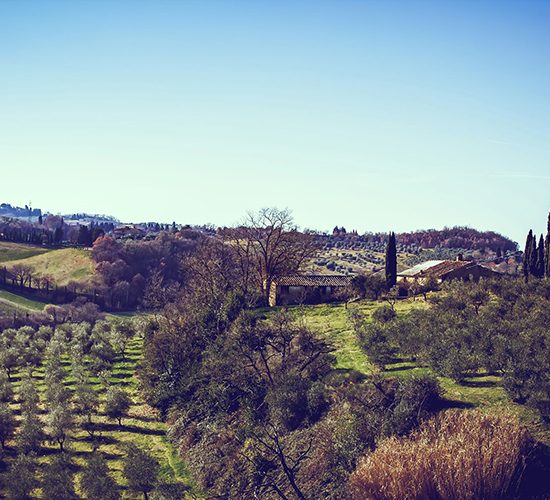 Foto da pagina Facebook La Ginestra.