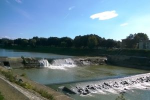 Arno-pescaie_Toscana-ambiente