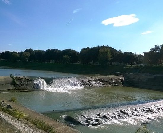 Arno-pescaie_Toscana-ambiente