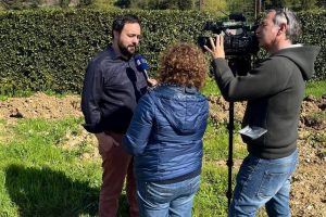 Carmignano-punteruolo-fico_Toscana-ambiente