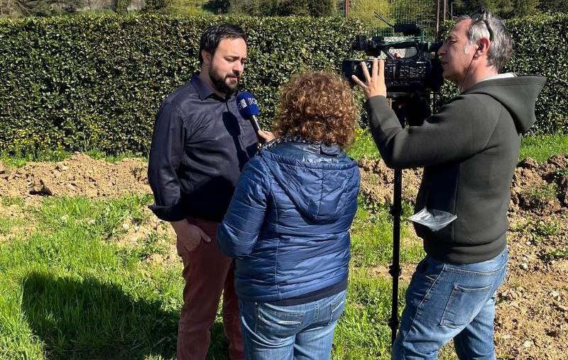 Carmignano-punteruolo-fico_Toscana-ambiente